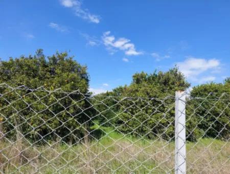 Ortaca Marmarlı’da Dağ Ve Doğa Manzaralı 1.500 M² Müstakil Arsa Satılık
