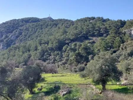 Ortaca Gökbelde Müstakil Tapulu Deniz Manzaralı 5.216 M2, 2B Arazi Satılık