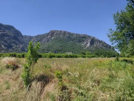 Muğla Marmarlı Da 5 800 M2 İmar Planı İçinde Yatırıma Uygun Satılık  Arsa
