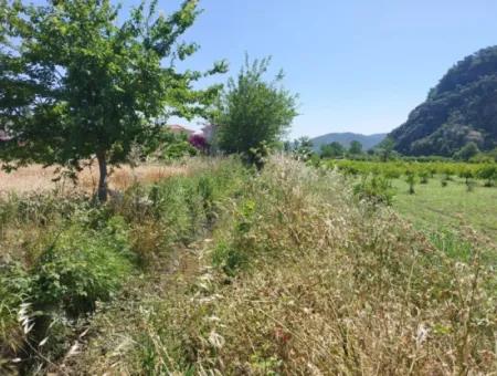 Muğla Marmarlı Da 5 800 M2 İmar Planı İçinde Yatırıma Uygun Satılık  Arsa