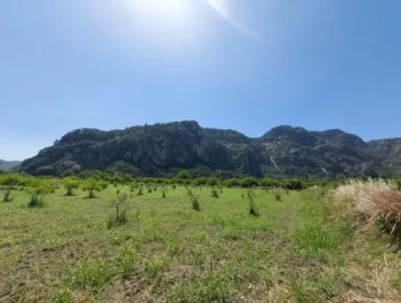 Muğla Marmarlı Da 5 800 M2 İmar Planı İçinde Yatırıma Uygun Satılık  Arsa