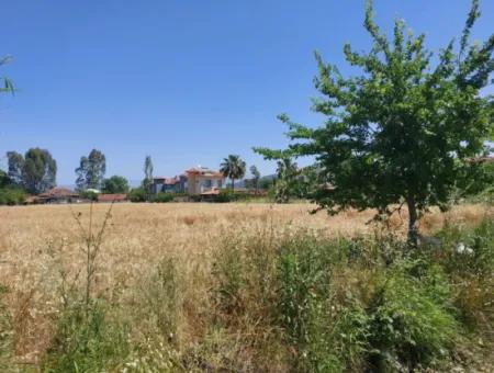 Muğla Marmarlı Da 5 800 M2 İmar Planı İçinde Yatırıma Uygun Satılık  Arsa