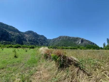 Muğla Marmarlı Da 5 800 M2 İmar Planı İçinde Yatırıma Uygun Satılık  Arsa