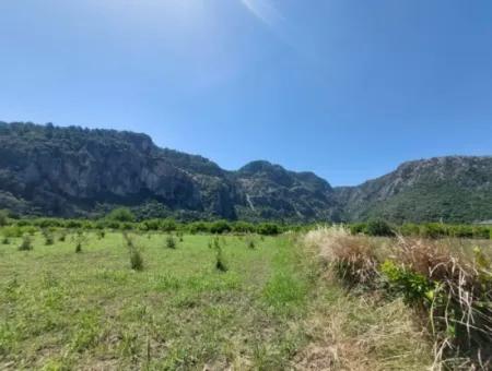 Muğla Marmarlı Da 5 800 M2 İmar Planı İçinde Yatırıma Uygun Satılık  Arsa