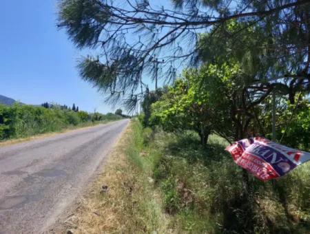 Muğla Ortaca Eskiköyde 9.000  M2 Nar Bahçesi Satılık