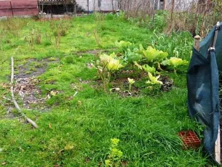 Güzelyurt Ta Satılık Müstakil Köy Evi