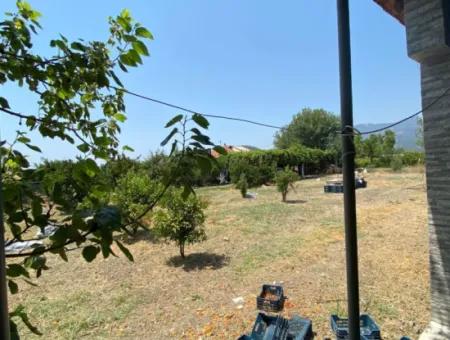 Ortaca Eskiköy De 5200 M2 Tarla İçinde Müstakil Ev Ve Sera Satılık