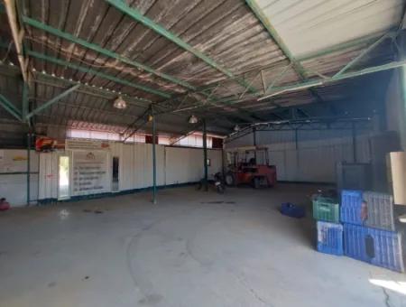 Muğla Dalyan’da 250 M² Tam Kullanımlı Depo Kiralık