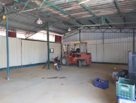 Muğla Dalyan’da 250 M² Tam Kullanımlı Depo Kiralık