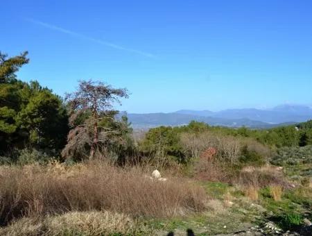 Fethiye Yaka Tlos Satılık Su Kenarı Değerli Arazi