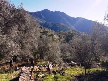 Göcek Gökçeovacıkta Satılık Deniz Manzaralı Arazi