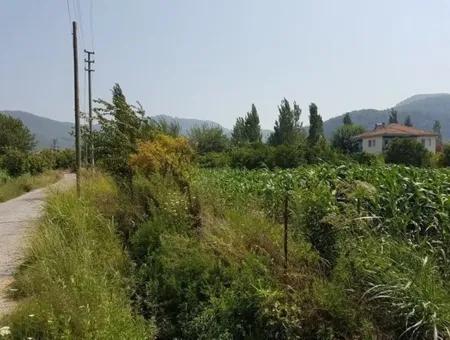 Muğla Ortaca Okçularda Satılık Yatırıma Uygun 3000 M2 Arsa