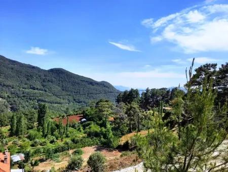 Köyceğiz Yayla, Ağla Köyünde Göl Manzaralı Yatırıma Uygun Müstakil Arazi Satılık