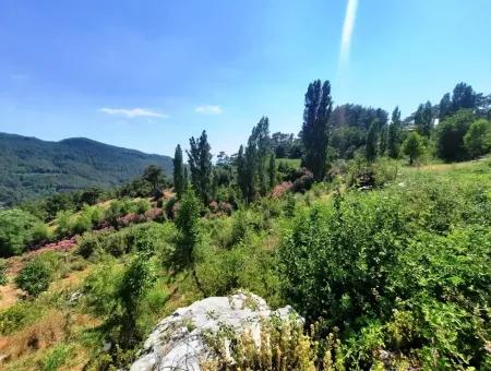 Köyceğiz Yayla, Ağla Köyünde Göl Manzaralı Yatırıma Uygun Müstakil Arazi Satılık